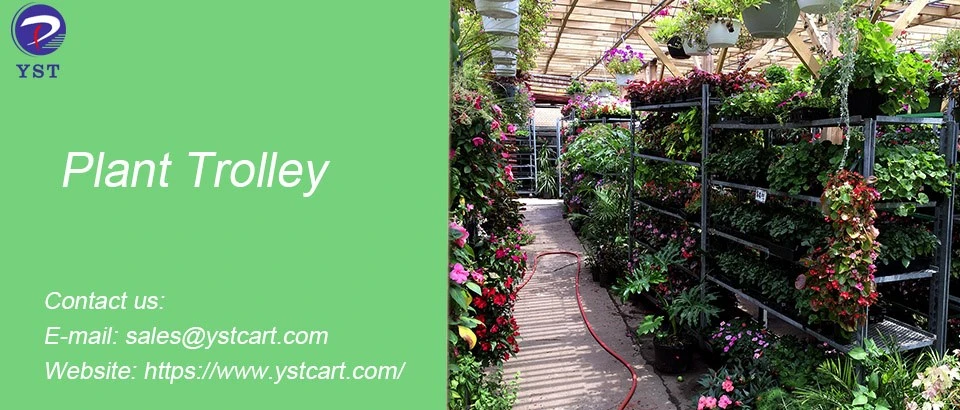 Plant Trolley-10 Plant Trolley-10