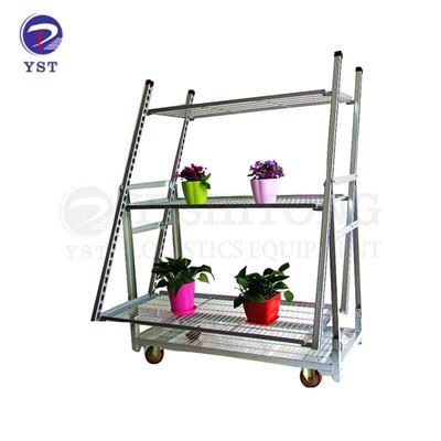 Xe đẩy nhà xanh