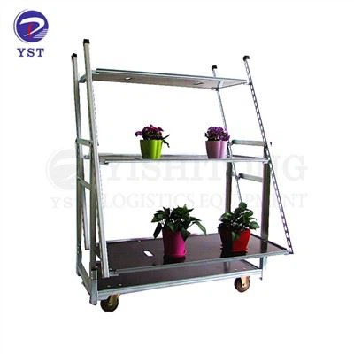 Xe đẩy trưng bày vườn ươm