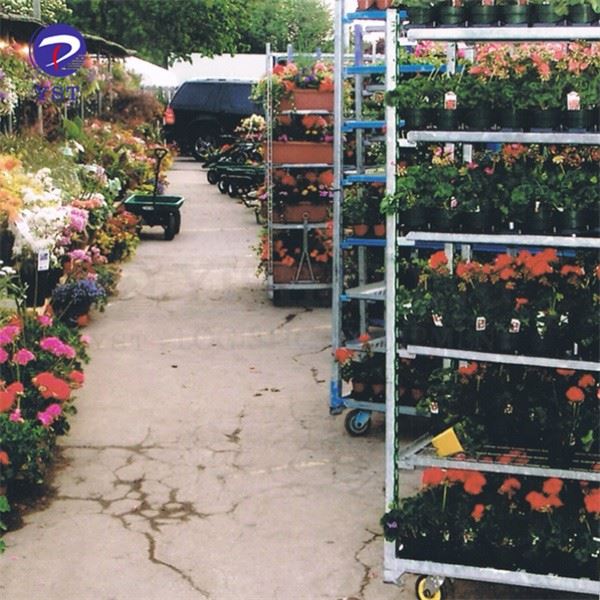 Greenhouse Galvanized Flower Carts