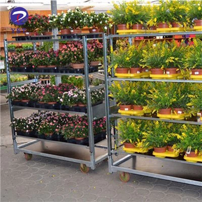 Vận chuyển xe đẩy Đan Mạch