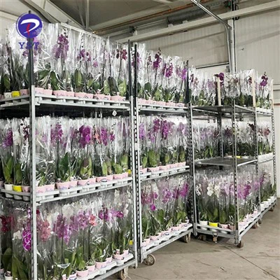 Xe đẩy hoa kim loại có thể gập lại