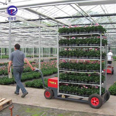 Xe đẩy hoa bằng kim loại vận chuyển trong nhà kính