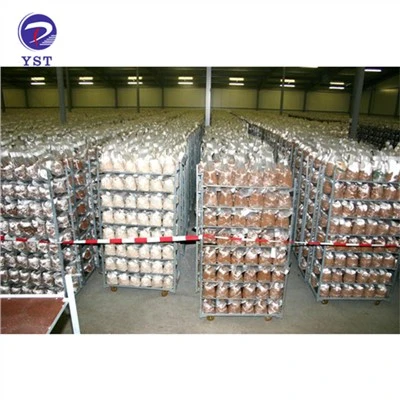Xe đẩy mạ kẽm nhúng nóng