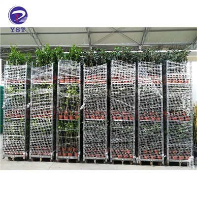 Xe đẩy cây kim loại nhiều kệ