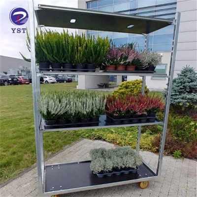 Giá trưng bày hoa vườn ươm