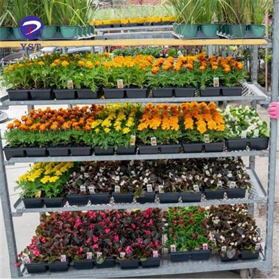 Giá kim loại dành cho vườn ươm