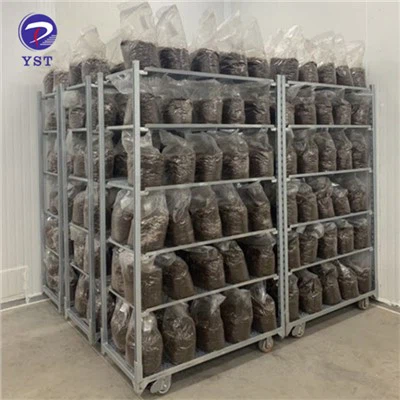 Kệ lưu trữ vườn ươm