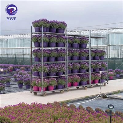 Kệ trồng cây cho vườn ươm