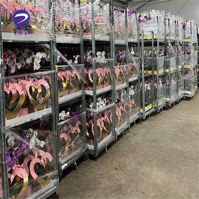 Xe đẩy vận chuyển cây trồng