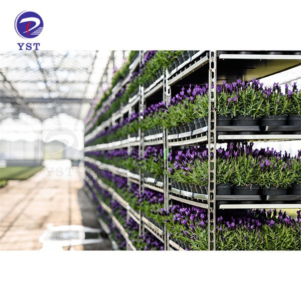 Trolleys For Transporting Plants