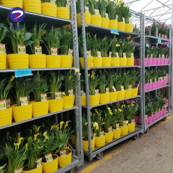 Nursery Plant Transport Trolley