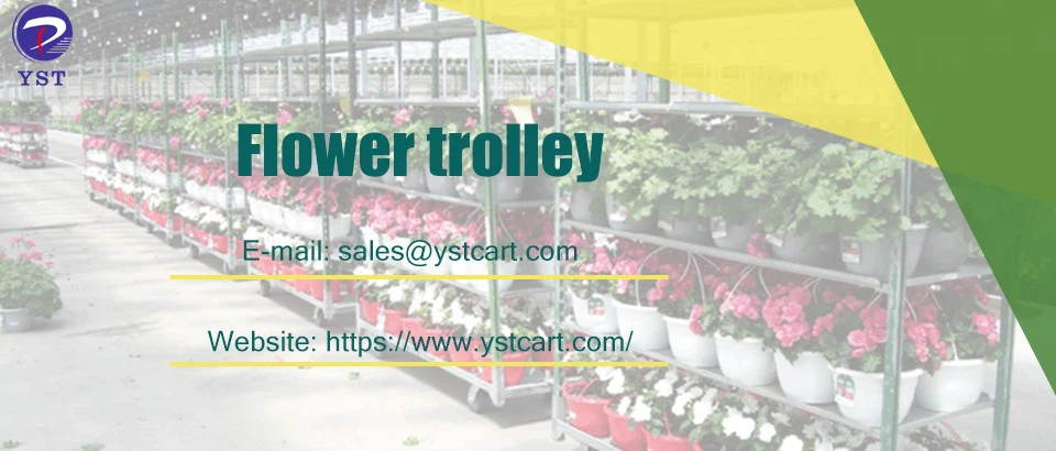 Flower Trolley Flower Trolley