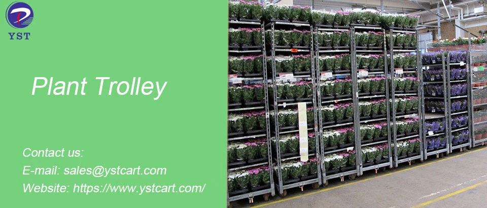 Plant Trolley-9 Plant Trolley-9