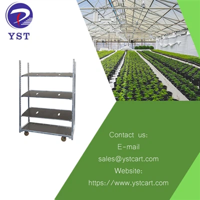 Đạt được năng suất tối ưu với xe đẩy trồng cần sa của Đan Mạch