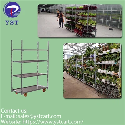 Hướng dẫn cơ bản về xe đẩy Hà Lan cho nhà kho trong nhà kính