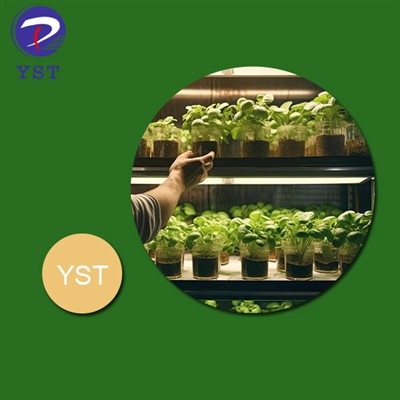 Cải thiện năng suất và chất lượng trong trồng cây giống dược liệu bằng xe nhà...