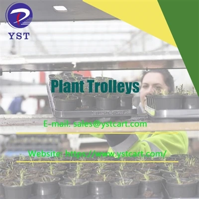 Ưu điểm của việc áp dụng xe đẩy cây trồng cho việc kinh doanh trồng cây giống...