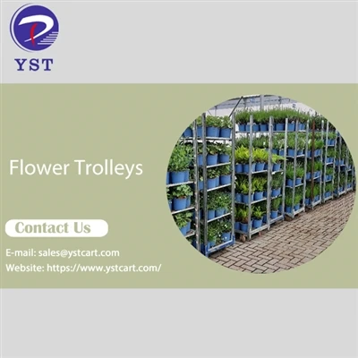 Từ vận chuyển hoa đến trồng hoa: Nhiều công dụng của xe đẩy hoa