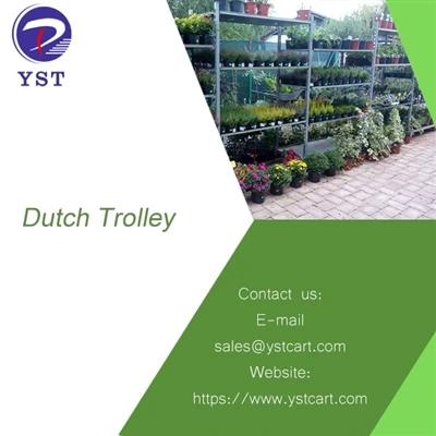 Xe đẩy của Hà Lan cải thiện hiệu quả trong ngành làm vườn như thế nào